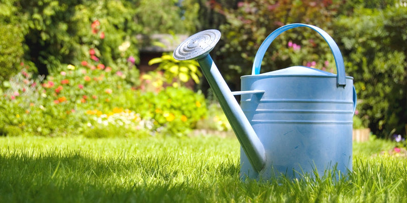 Gartenzubehör-Praktische Helfer für Haushalt und Garten