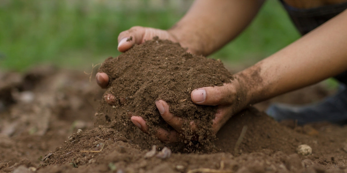 nach Bodenverhältnissen