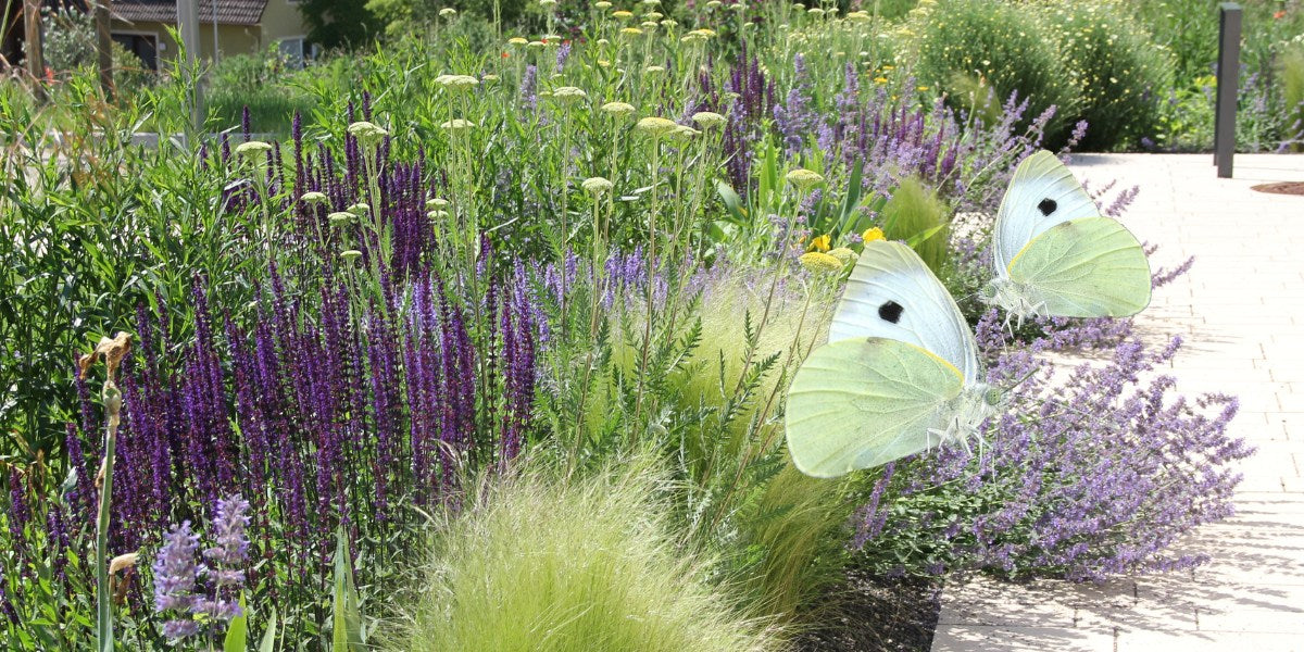 Naturnah & Bienenfreundlich