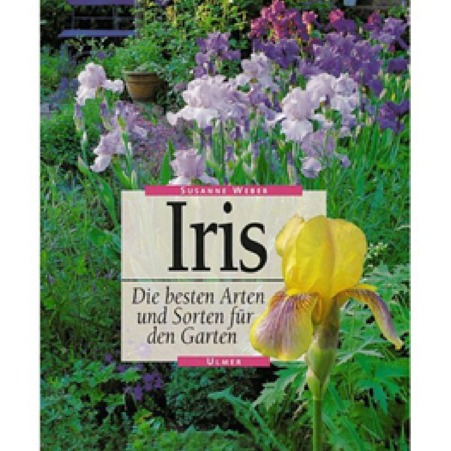 Iris - Die besten Arten und Sorten Susanne Weber