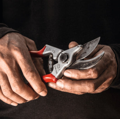 FELCO 4 Baumschere (für Rechts- und Linkshänder)