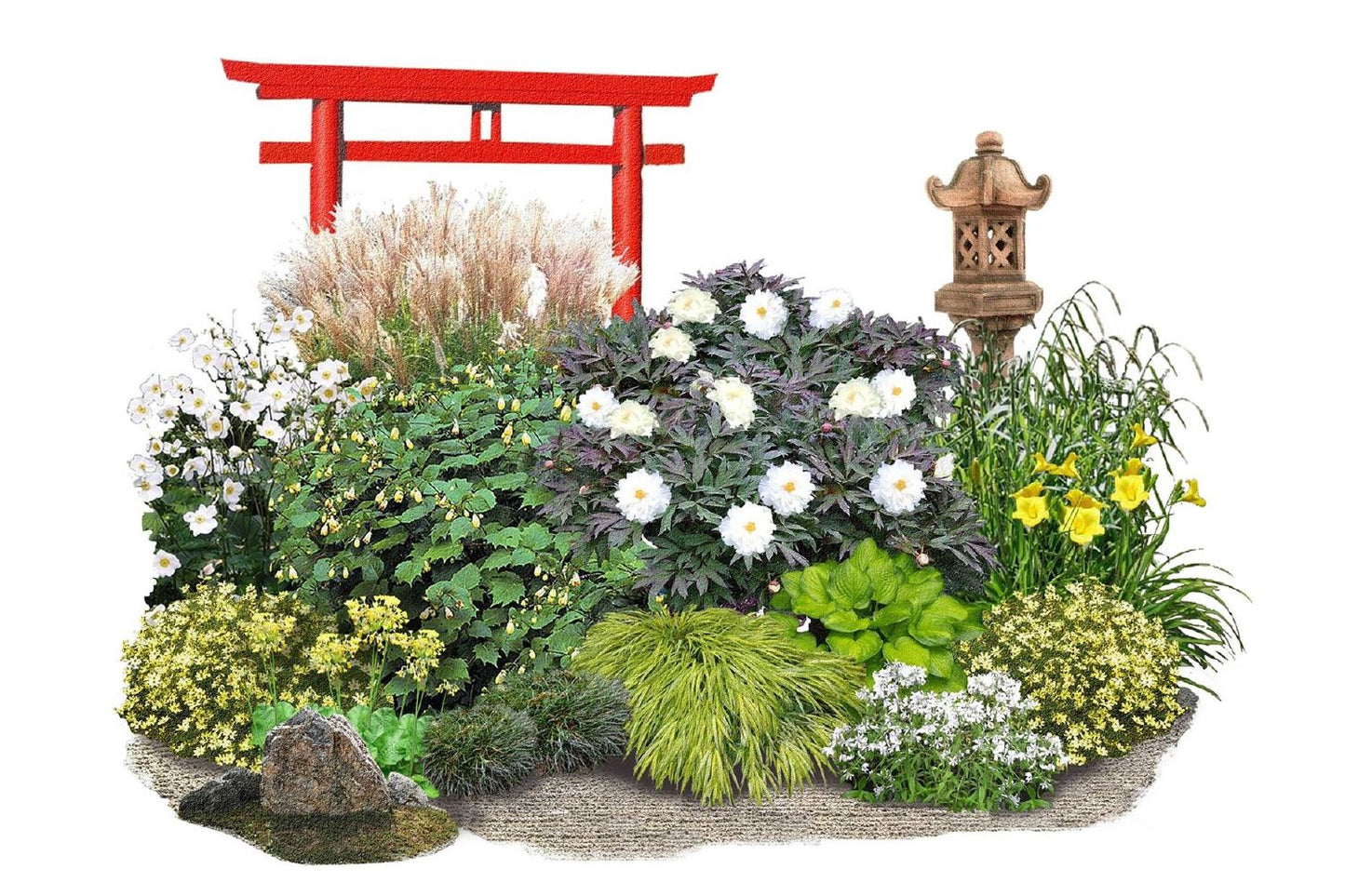 Fernöstlicher Traum Ein Hauch von Japan im eigenen Garten