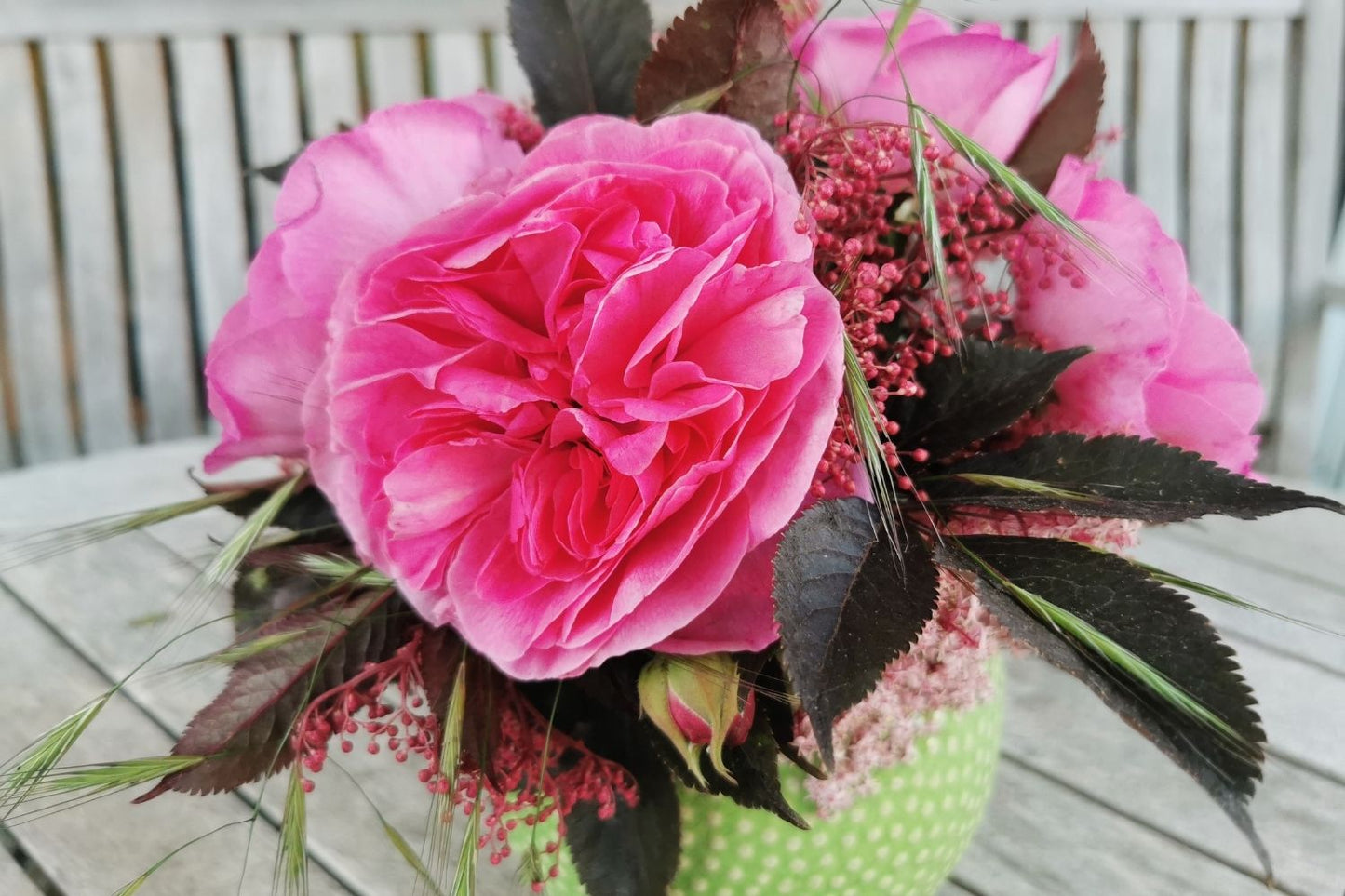 Rose 'Gertrude Jekyll' (Englische Rose)