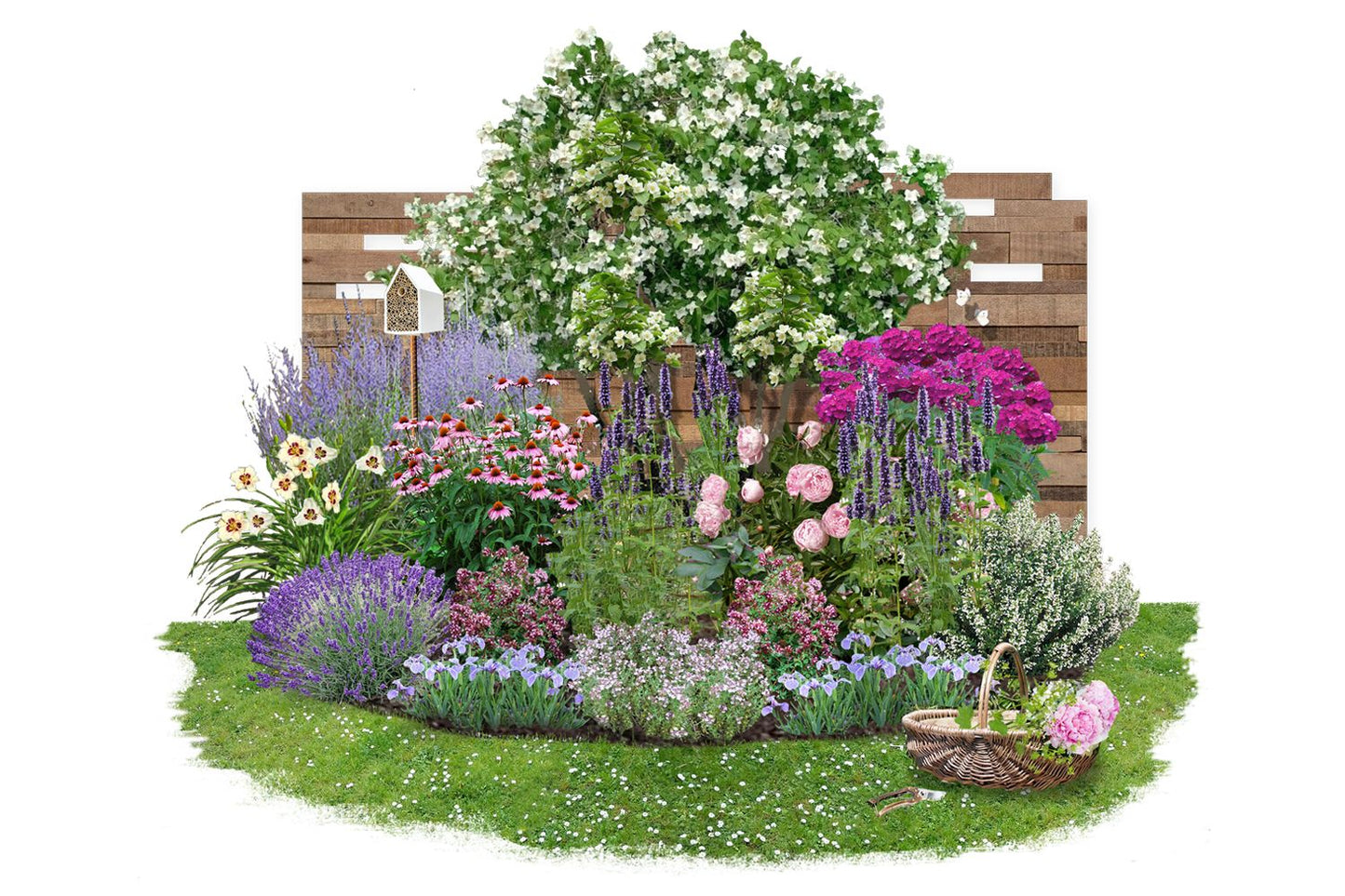 Nasenschmeichler Herrlicher Duft und ausdauernde Blüten