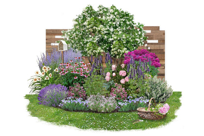 Nasenschmeichler Herrlicher Duft und ausdauernde Blüten