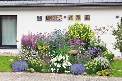 Buntes B*paradies (Blütenangebot für Bienen, Hummeln & Schmetterlinge)