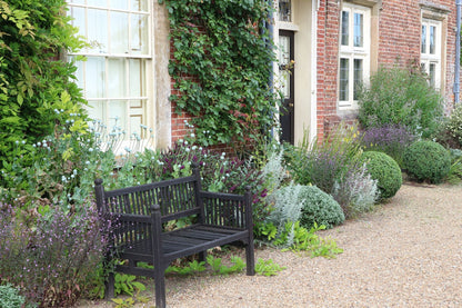 Verbena officinalis 'Bampton' (Eisenkraut)