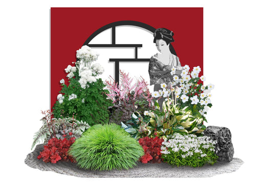 Hakonechloa-Paket 'Geisha' Kunstvolles Blatt- und Blütenwerk