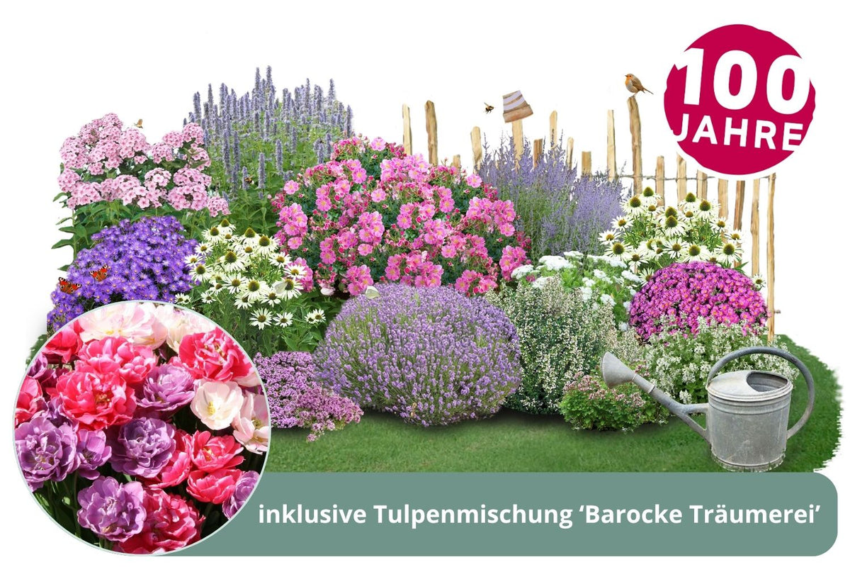 Jubiläumsangebot: Duftende B*weide Wohlriechendes Nektarangebot