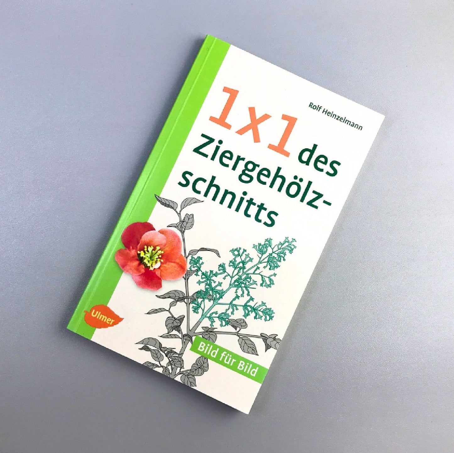 1x1 des Ziergehölzschnitts (Rolf Heinzelmann)