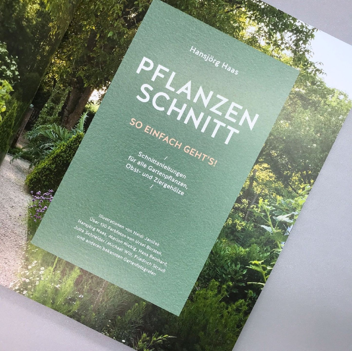 So einfach geht Pflanzenschnitt (Hansjörg Haas)