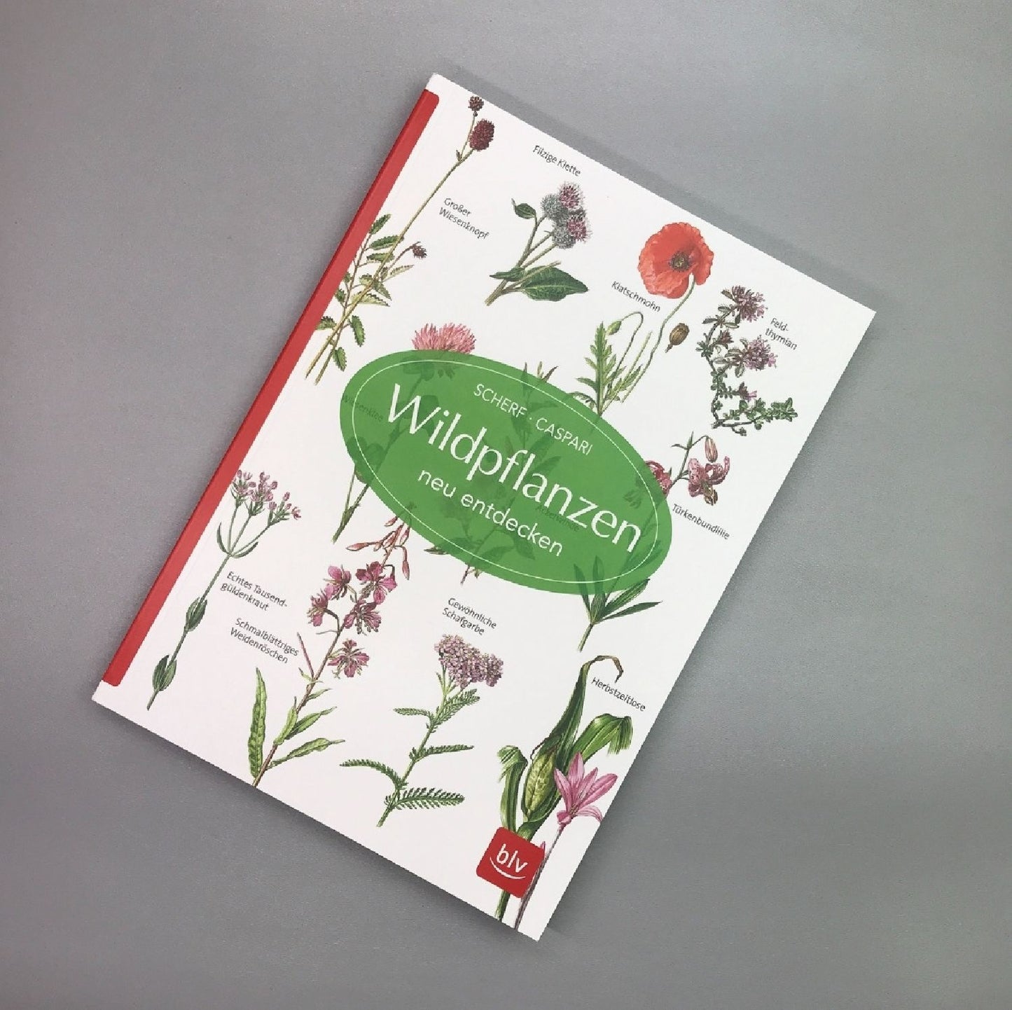 Wildpflanzen neu entdecken (Scherf & Caspari)