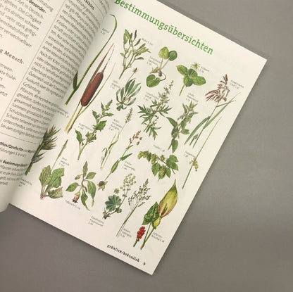 Wildpflanzen neu entdecken (Scherf & Caspari)