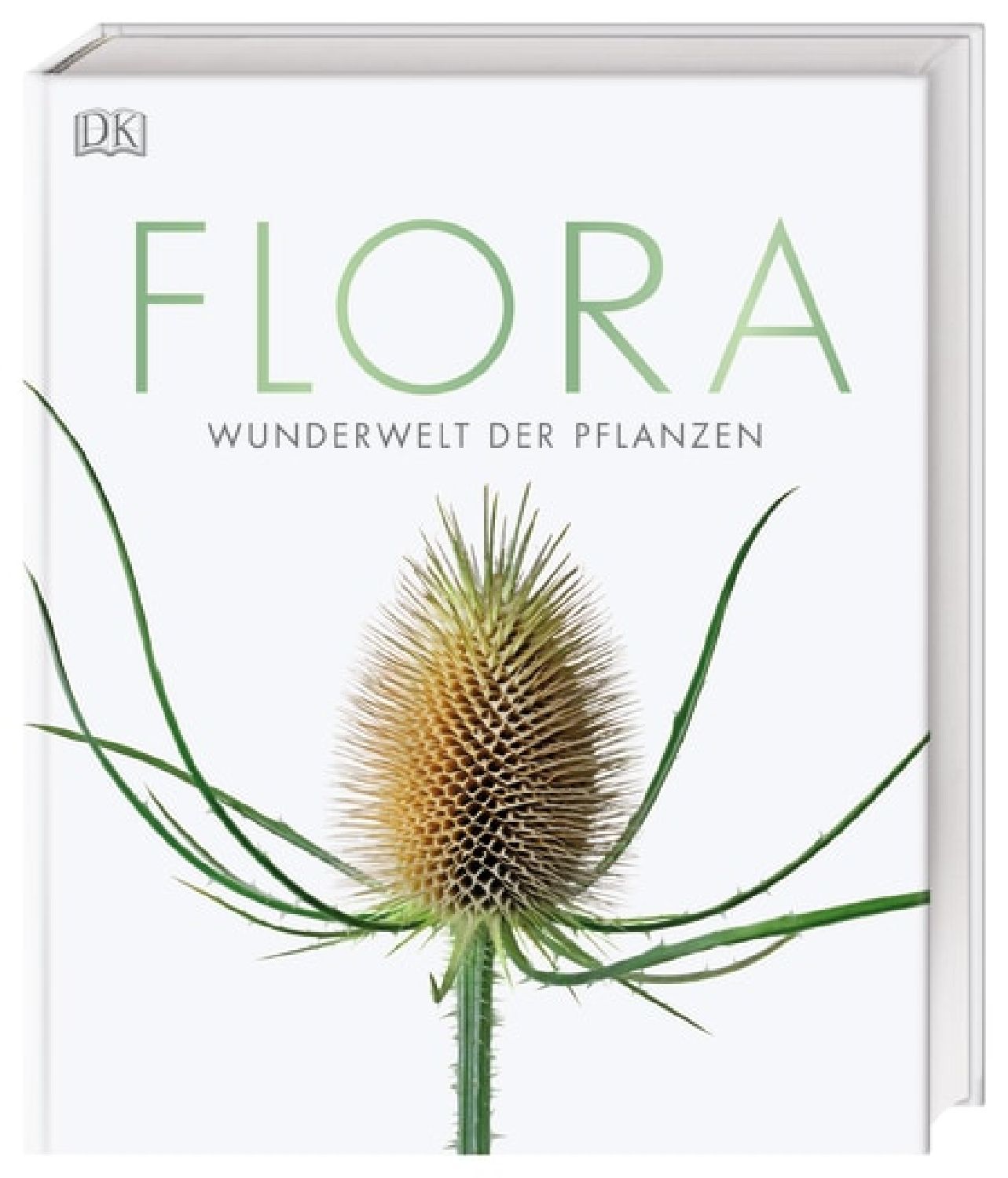 Flora Wunderwelt der Pflanzen