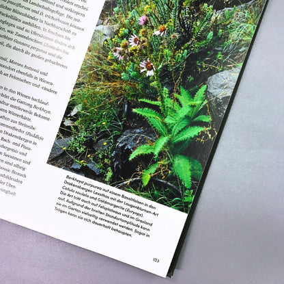 Wild Garden (Sven Nürnberger)
