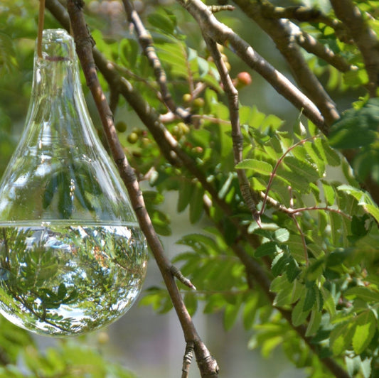 Fliegenvertreiber aus Glas natürlich ohne Giftstoffe