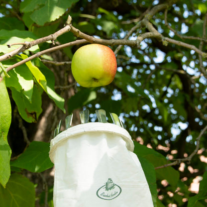 Obstpflücker (für die Obsternte)