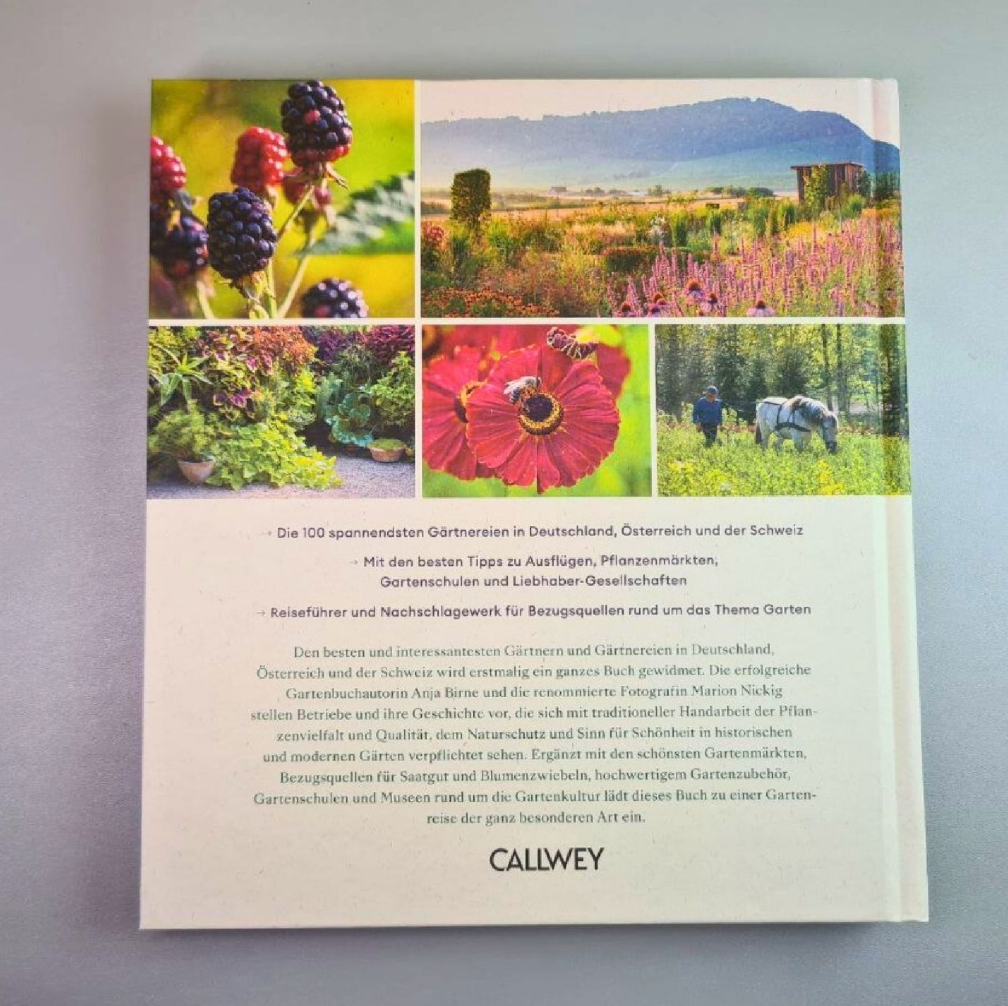 Das große Buch der Gärtnerinnen Gärtner (Anja Birne & Marion Nickig)