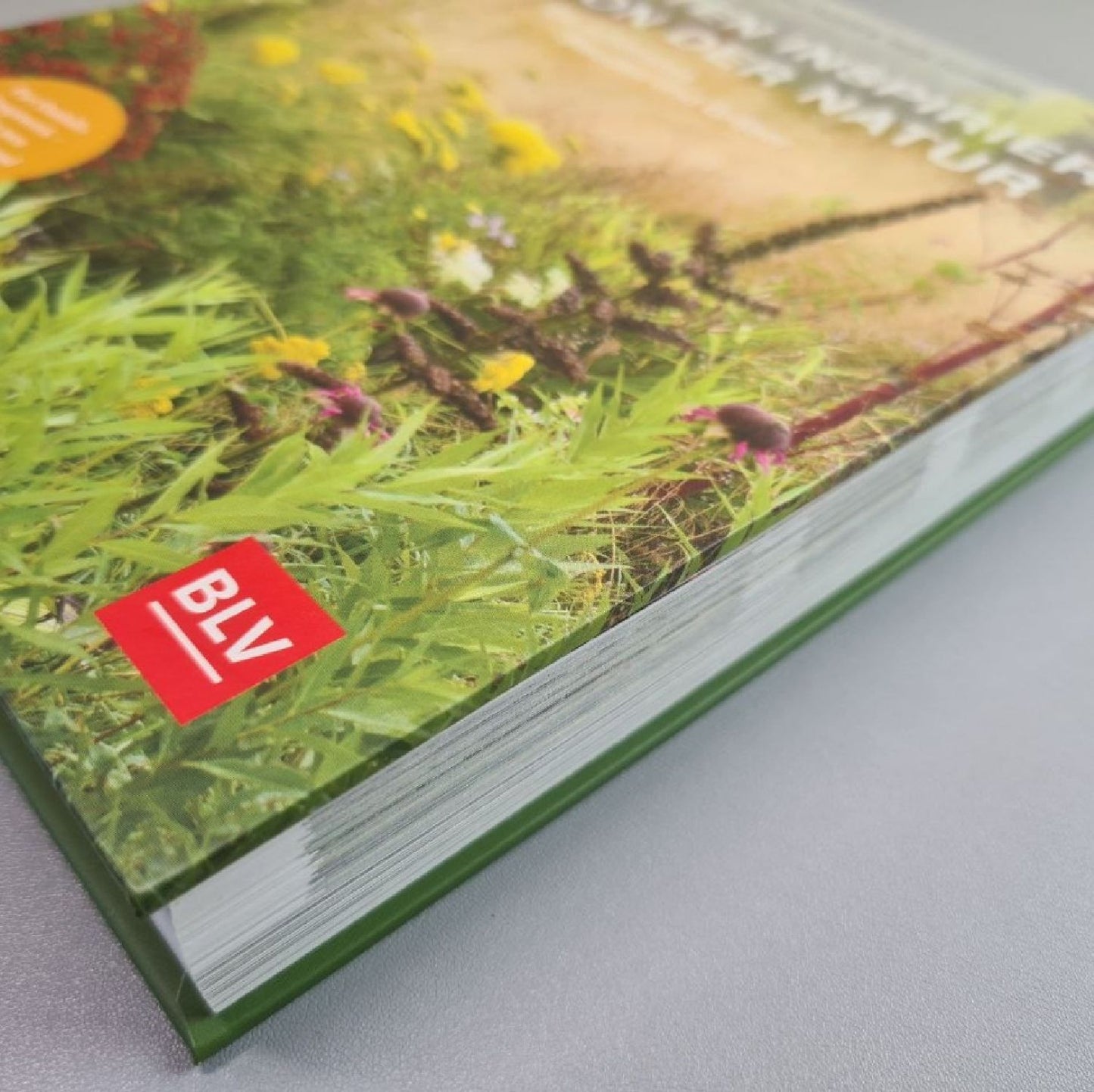 Gärten inspiriert von der Natur (Piet Oudolf & Henk Gerritsen)