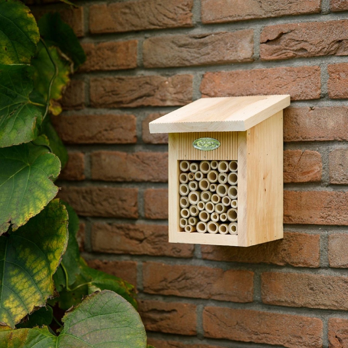Bienenhaus (aus Erlenholz)