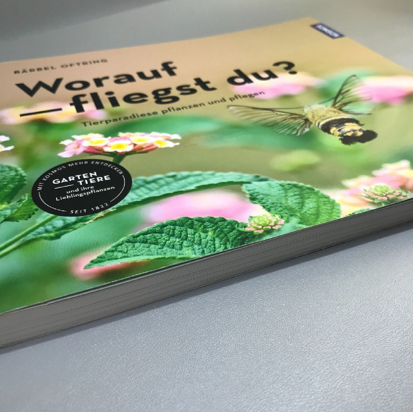 Worauf fliegst du? (Bärbel Oftring)