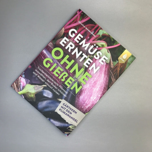 Gemüse ernten ohne gießen Christine Weidenweber
