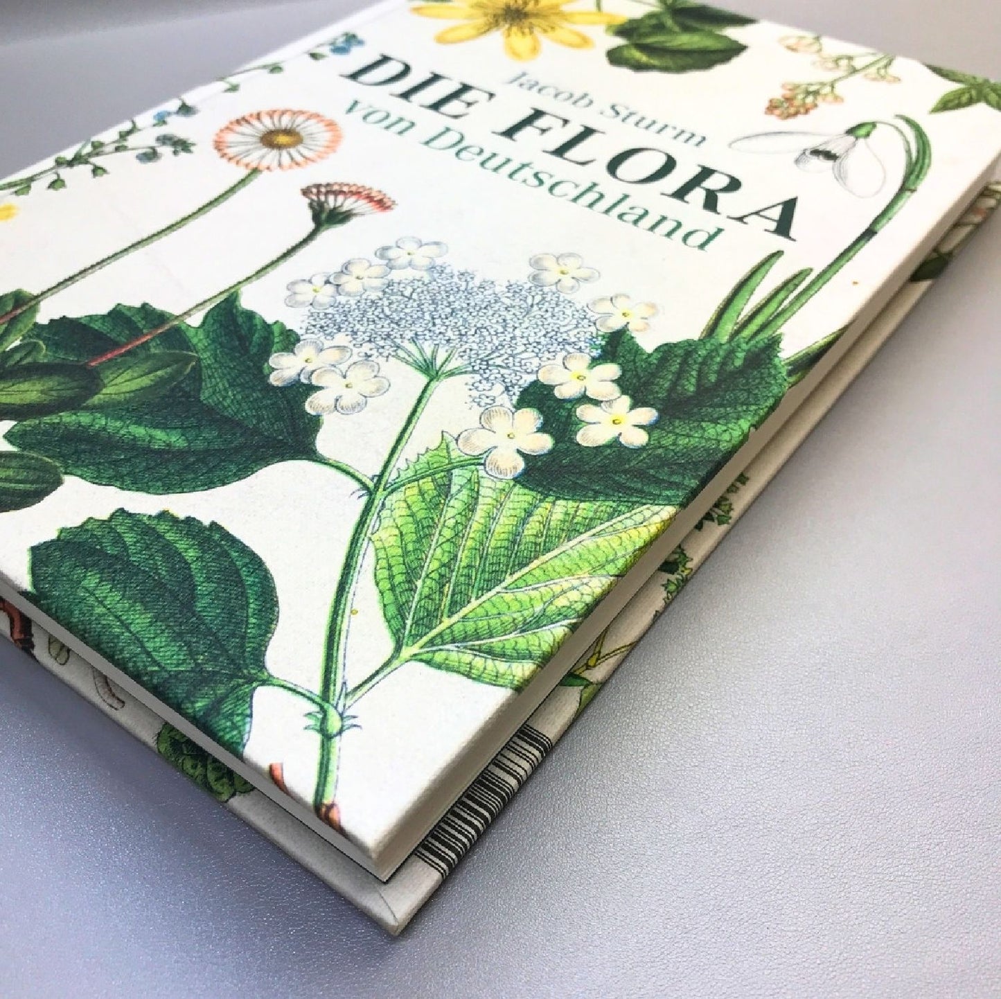 Die Flora von Deutschland (Jacob Sturm)