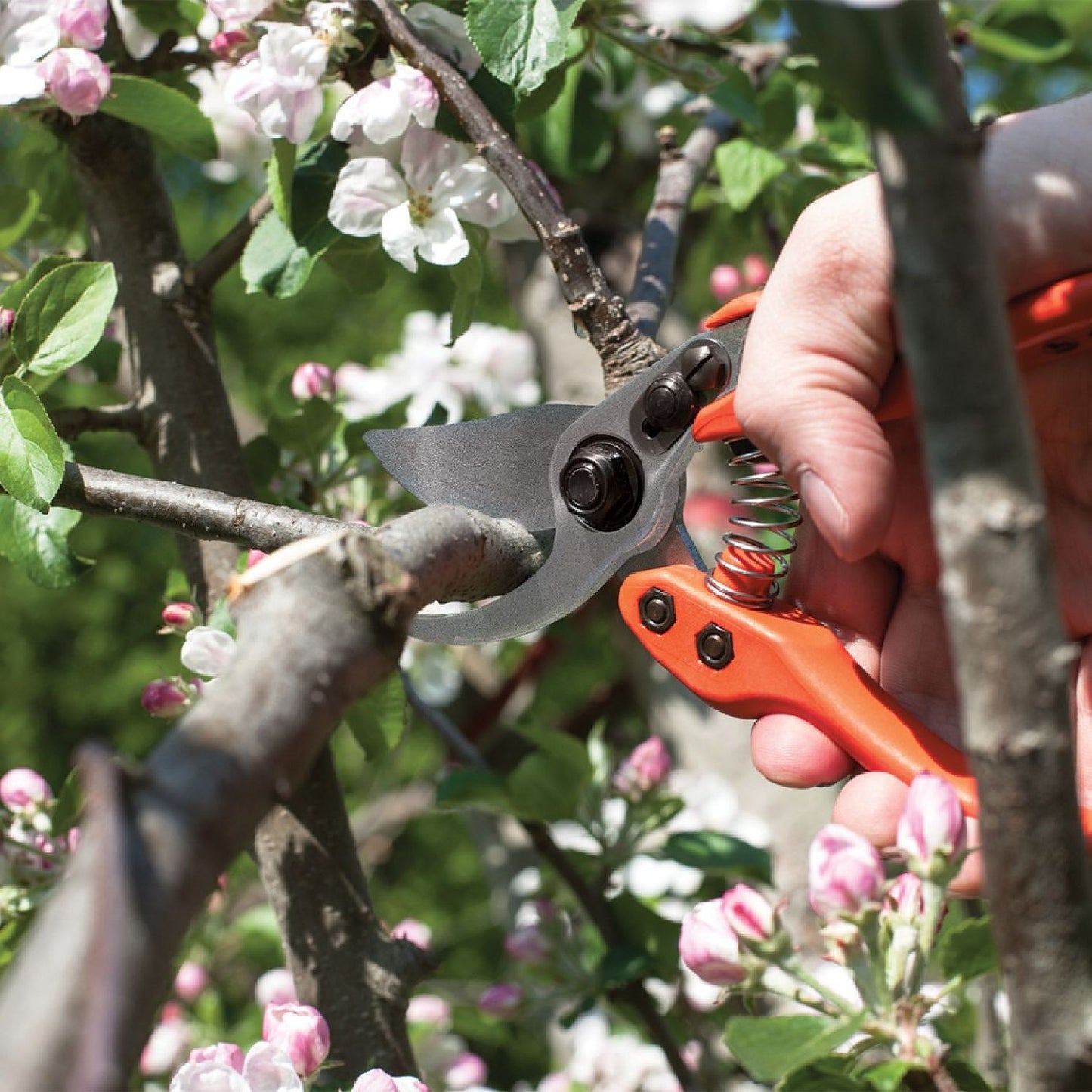 Gartenschere Löwe 11 (mit Standardgriff)