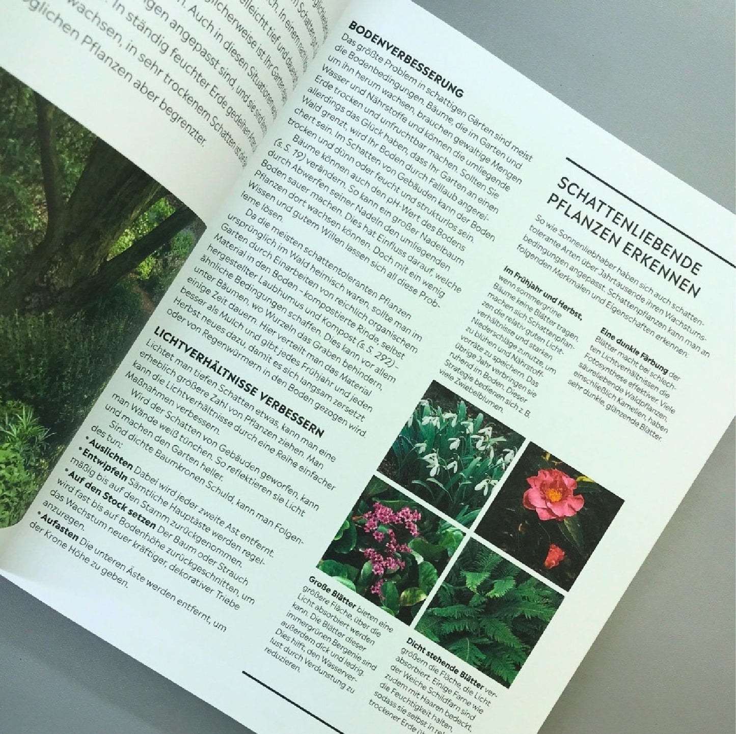 Richtig gut Gärtnern (RHS Royal Horticulture Society)
