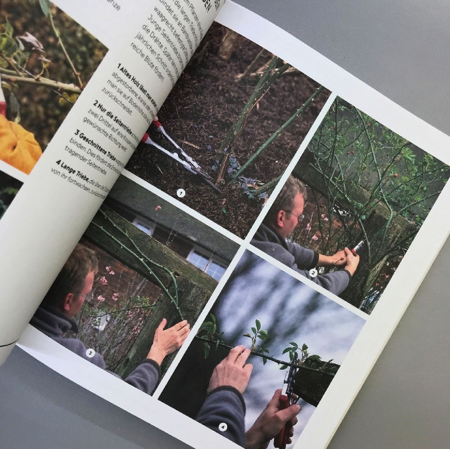 Richtig gut Gärtnern (RHS Royal Horticulture Society)