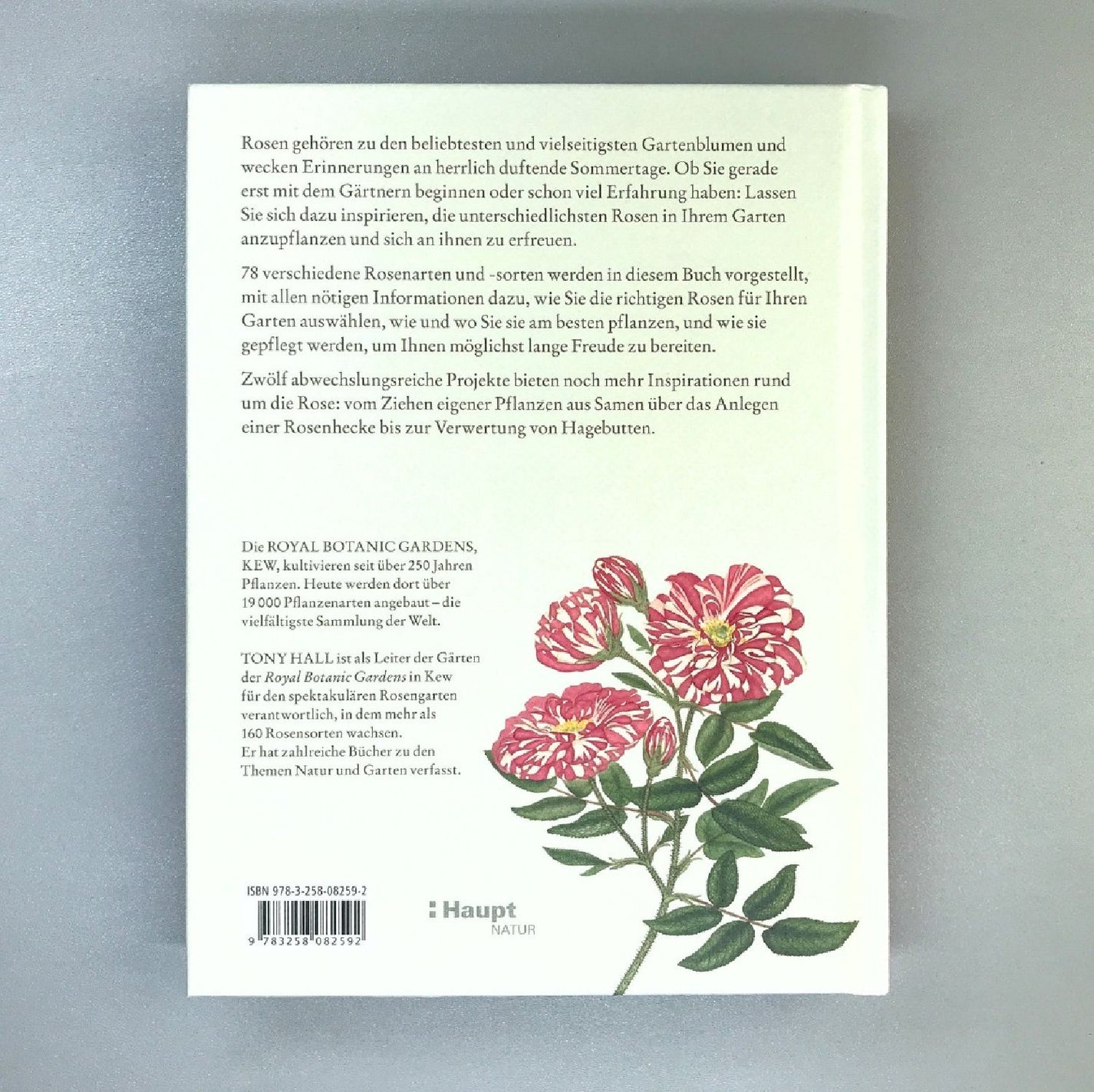 ROSEN | PFLANZEN, PFLEGEN, VERMEHREN (Tony Hall) – Gräfin von Zeppelin