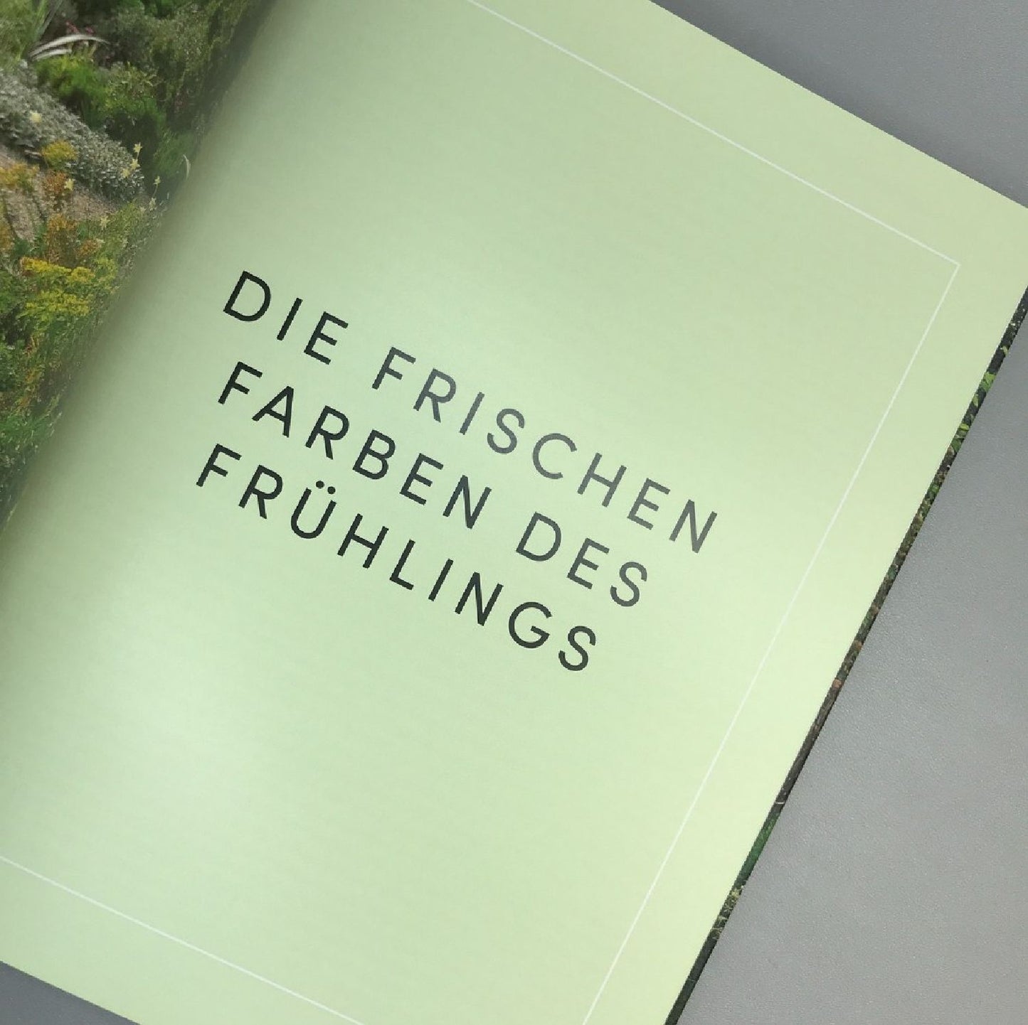 Beth Chatto Kiesgarten (Gärtnern auf trockenem Standort)