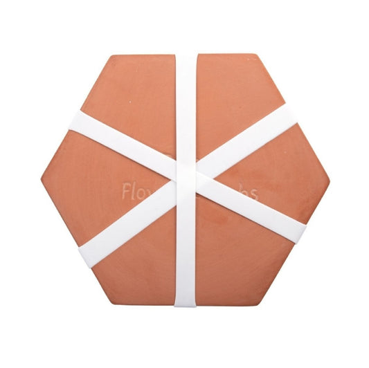 Blumen- und Kräuterpresse Mikrowelle