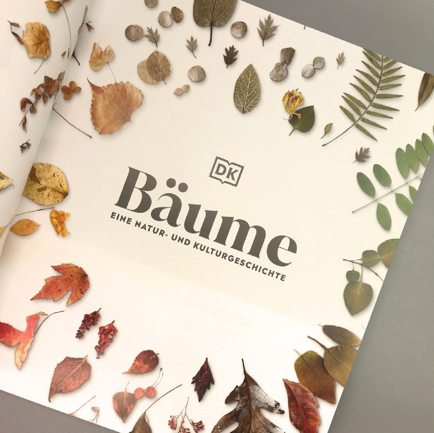 Alles über Bäume (Eine Natur- und Kulturgeschichte)