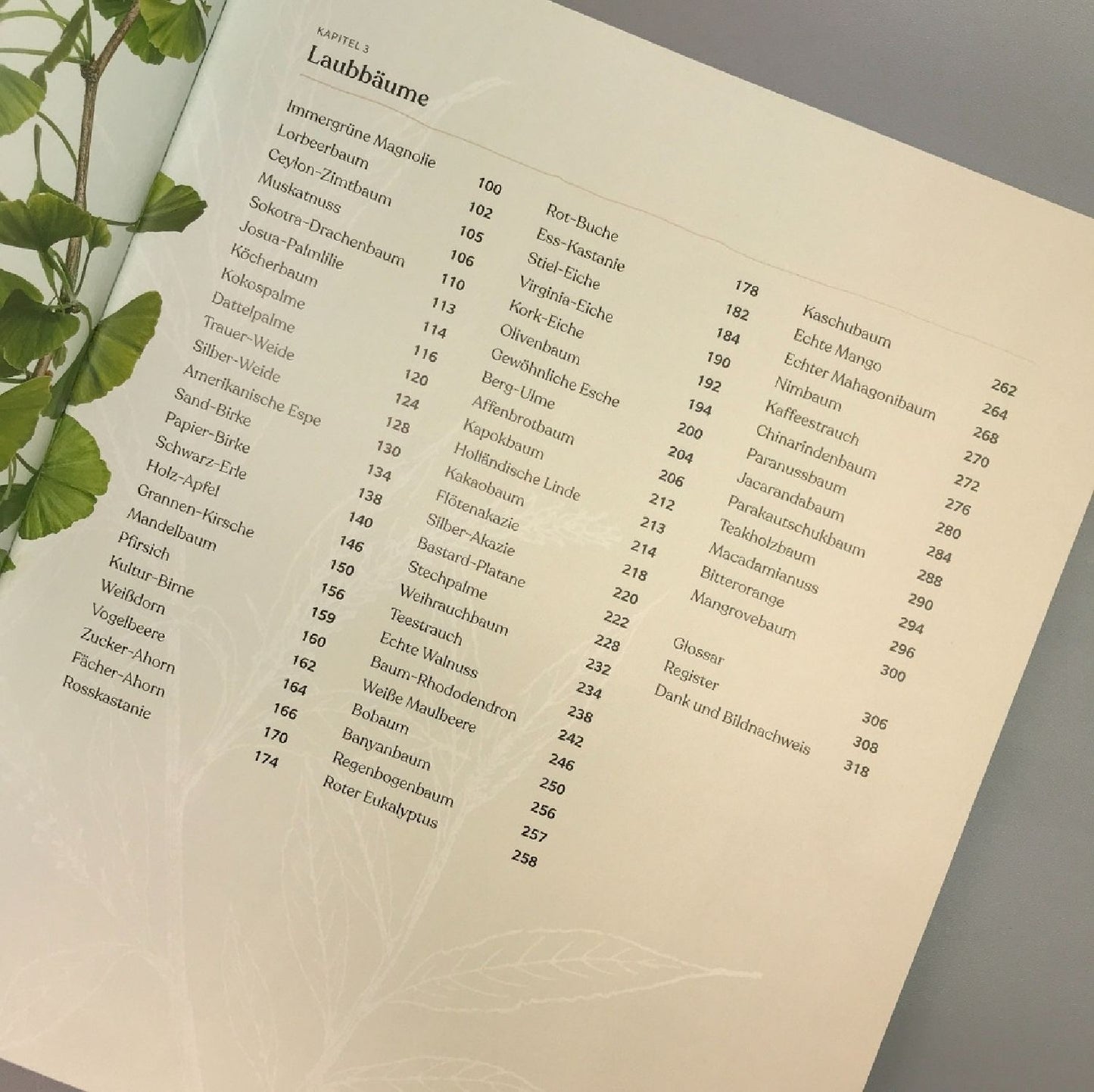Alles über Bäume (Eine Natur- und Kulturgeschichte)