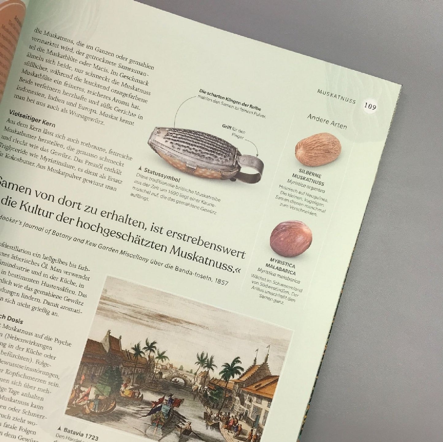 Alles über Bäume (Eine Natur- und Kulturgeschichte)