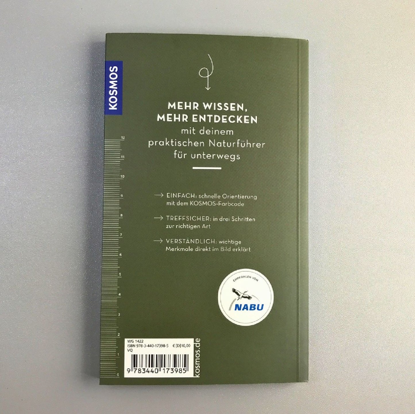 Basic Schmetterlinge (Eva-Maria Dreyer)