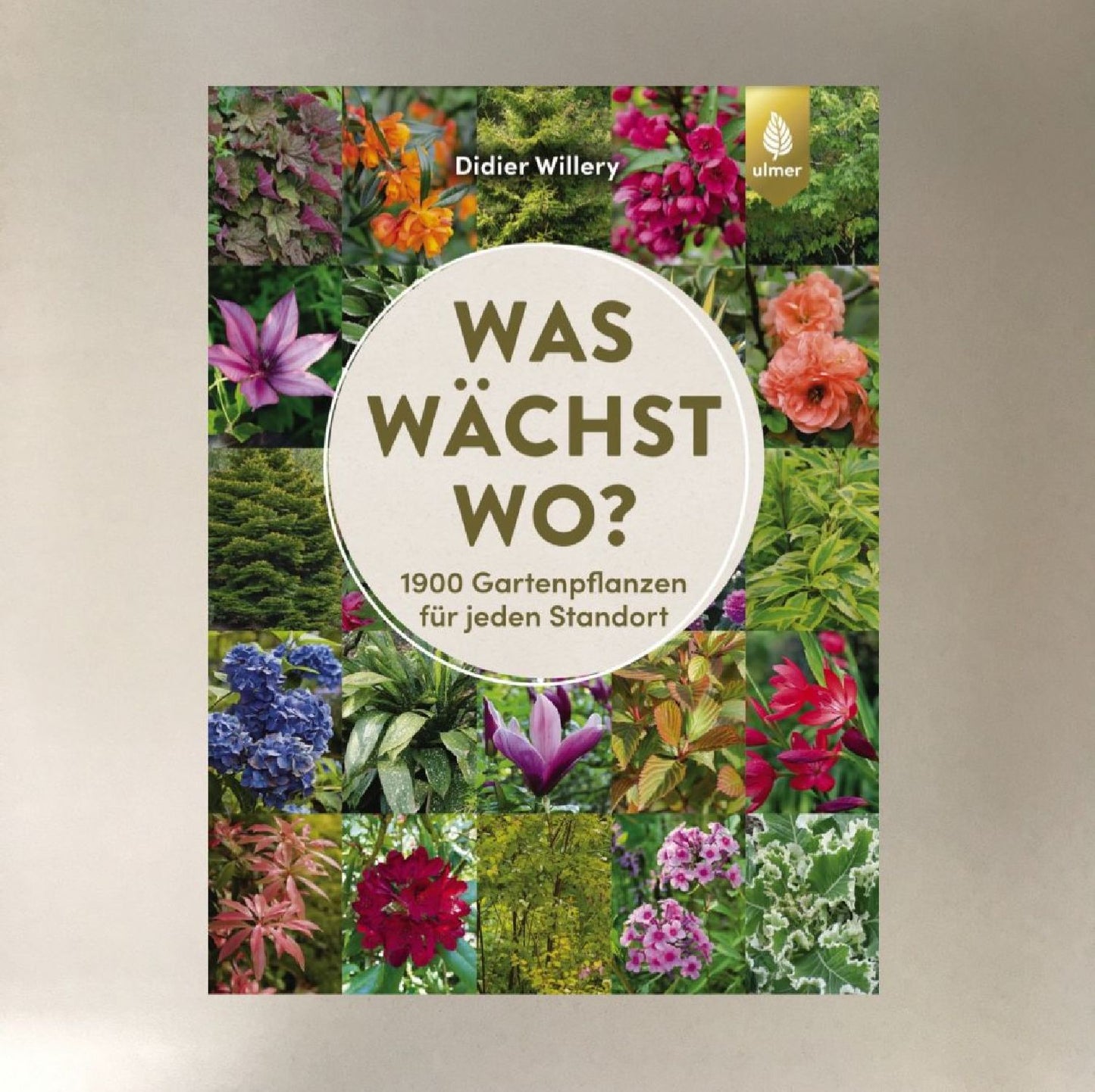 Was wächst wo? Didier Willery