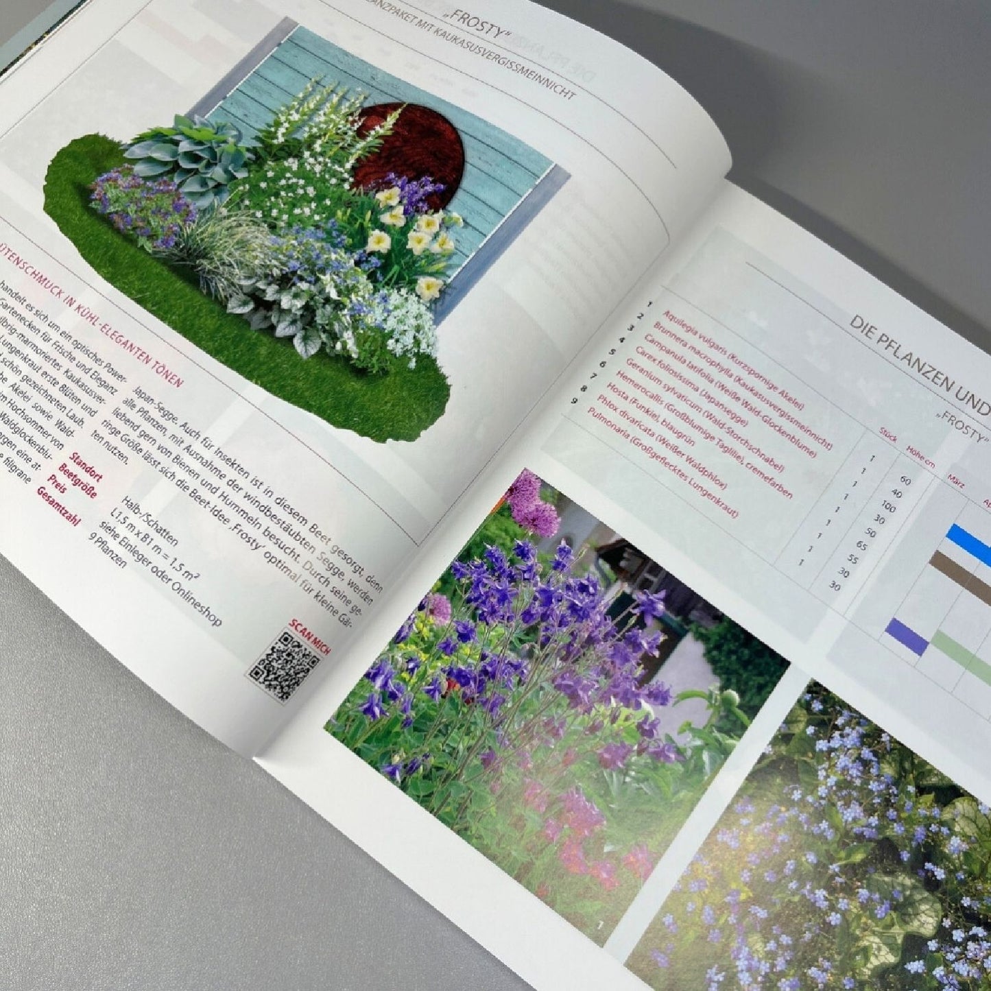 Beet-Ideen-Katalog (Pflanz-Ideen für jeden Gartenbereich)