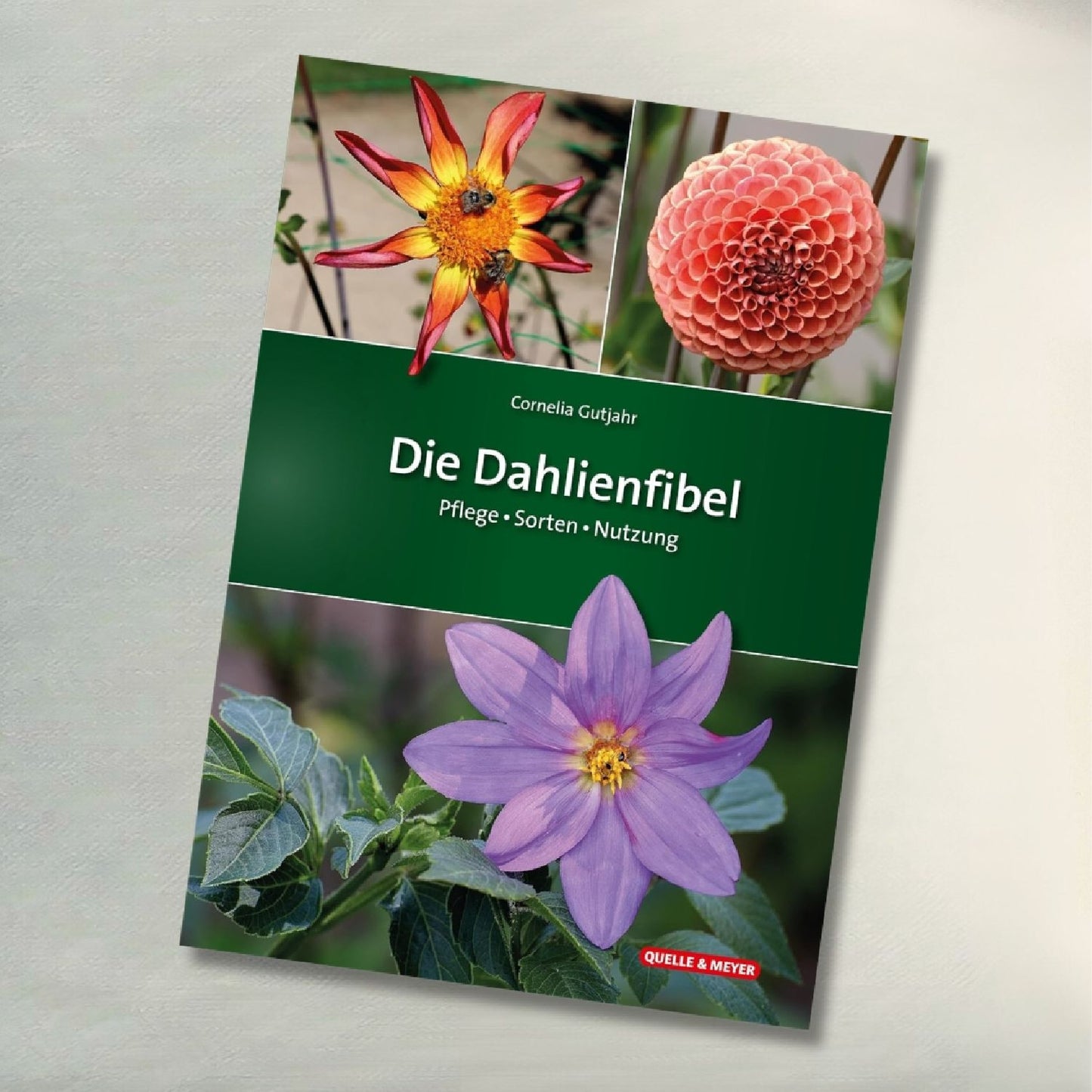 Die Dahlienfibel Cornelia Gutjahr
