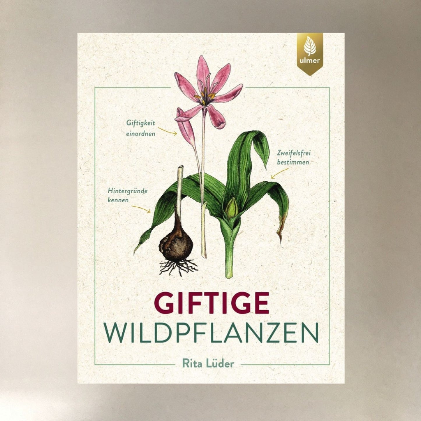 Giftige Wildpflanzen Rita Lüder