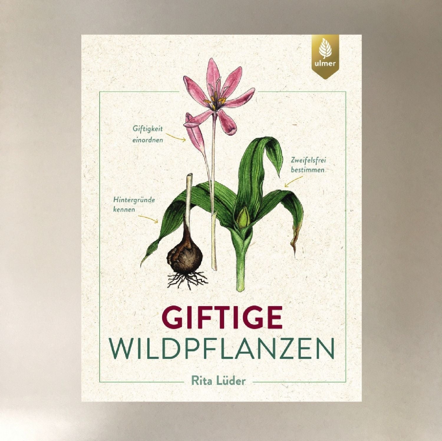 Giftige Wildpflanzen Rita Lüder