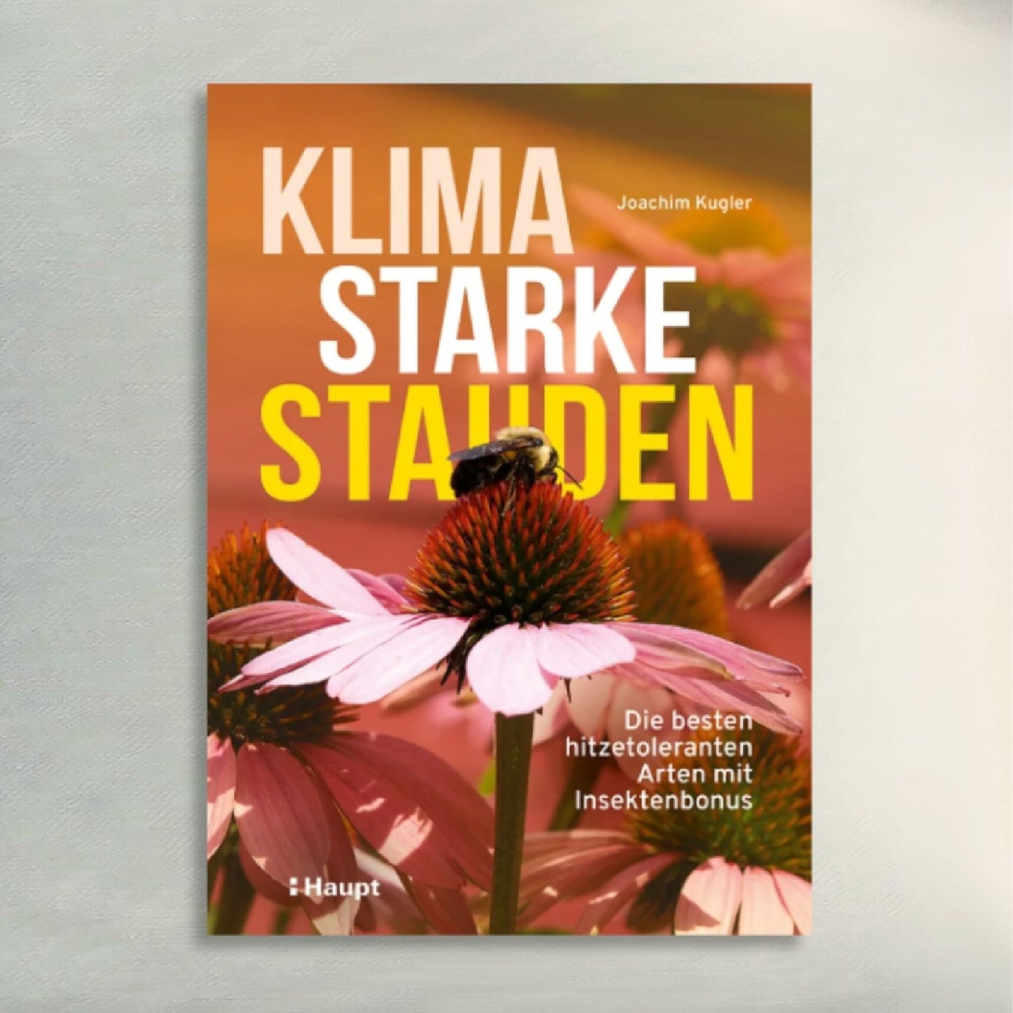 Klimastarke Stauden Joachim Kugler