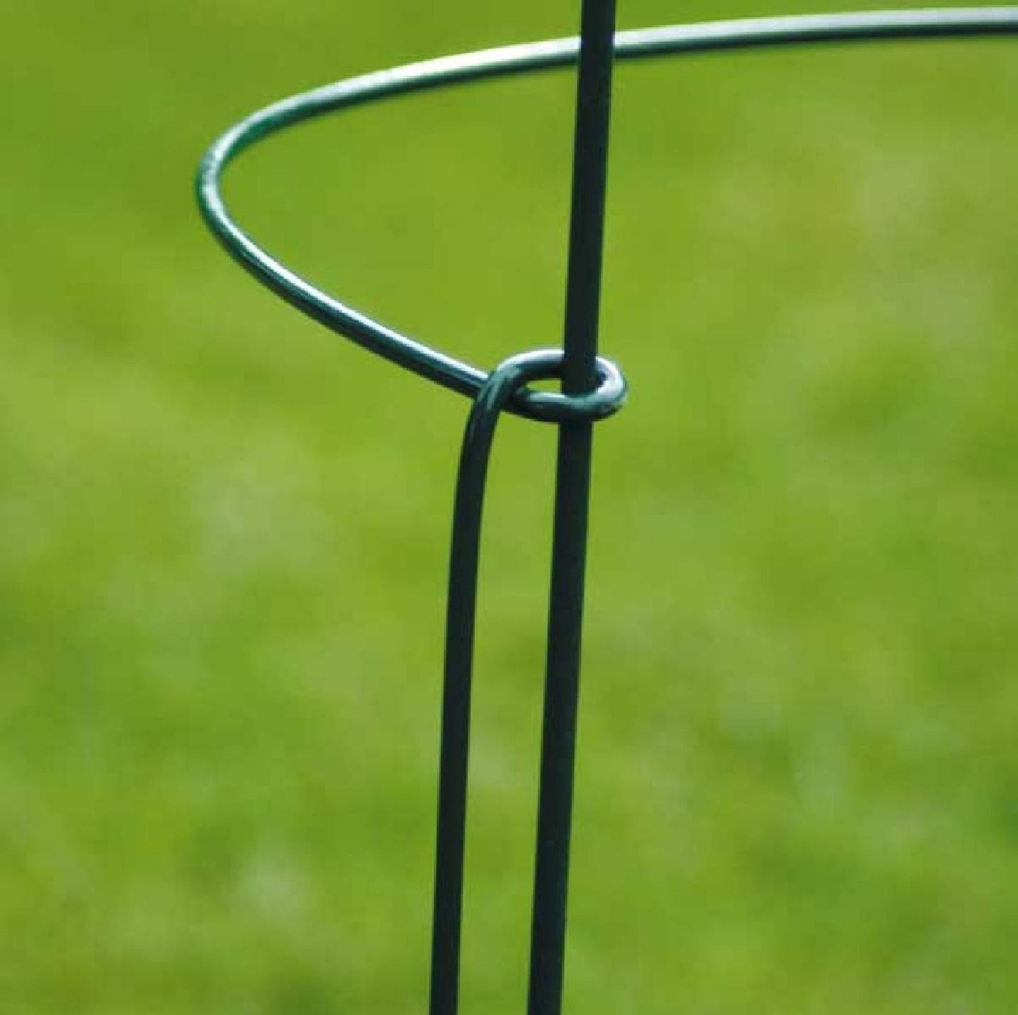 Staudenstützen 'Oxford' Staudenhalter