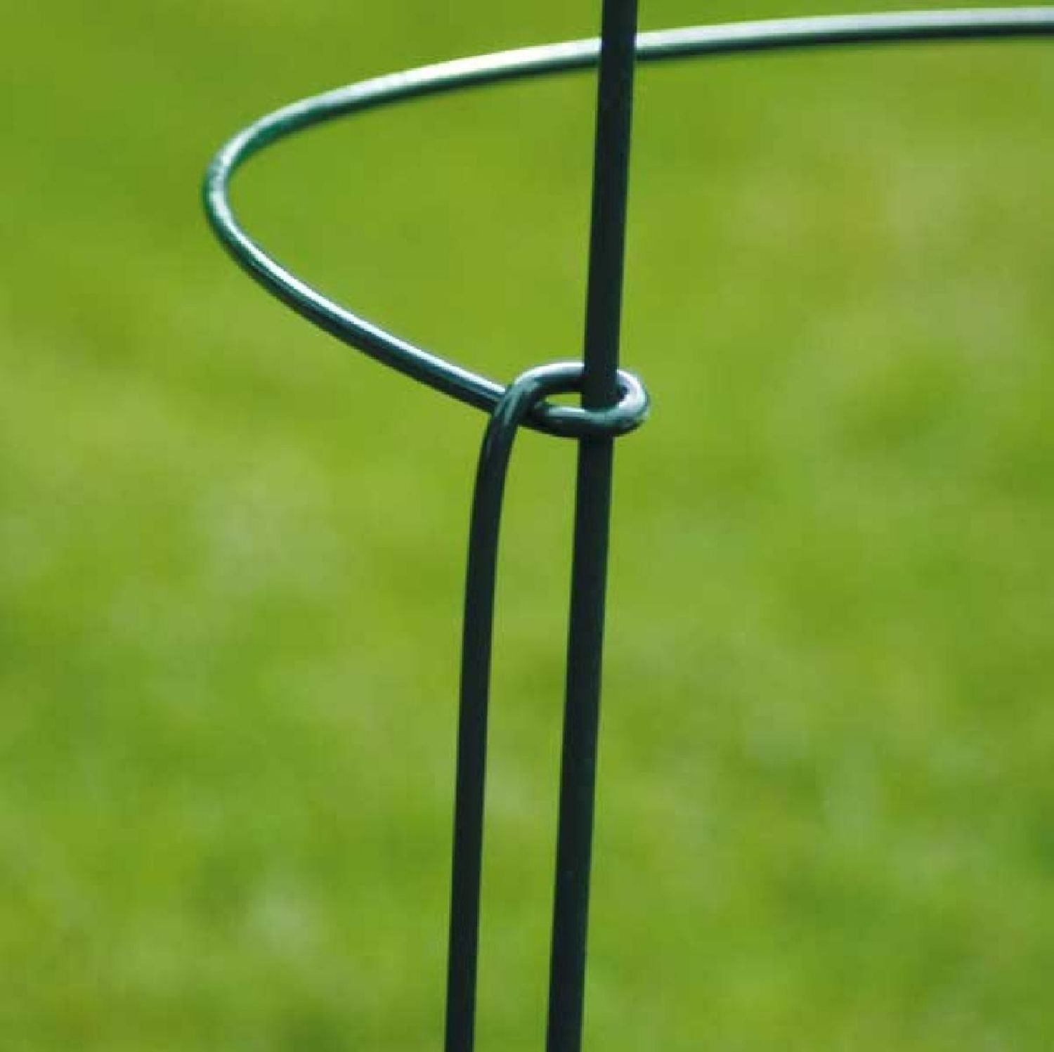 Staudenstützen 'Oxford' Staudenhalter