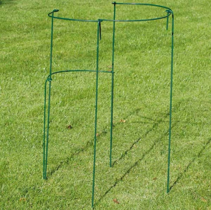 Staudenstützen 'Oxford' (Staudenhalter)