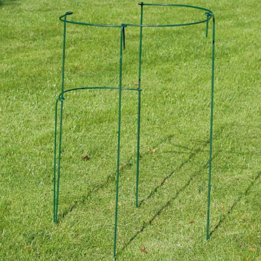 Staudenstützen 'Oxford' (Staudenhalter)