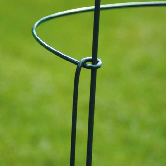 Staudenstützen 'Oxxford' Staudenhalter