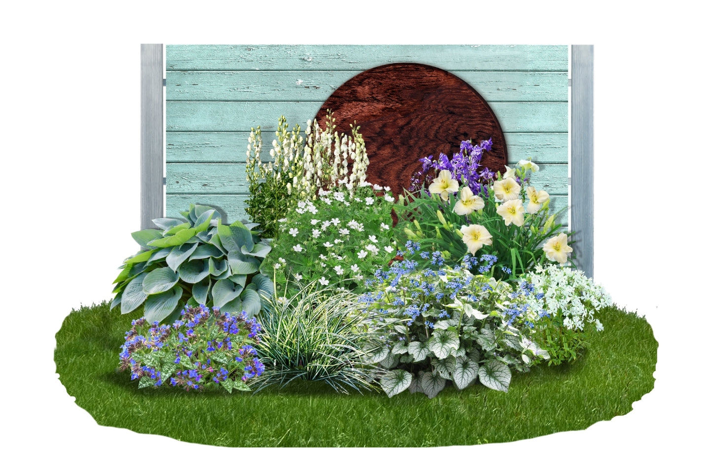 Brunnera-Paket 'Frosty' (Blatt- und Blütenschmuck in kühl-eleganten Tönen)