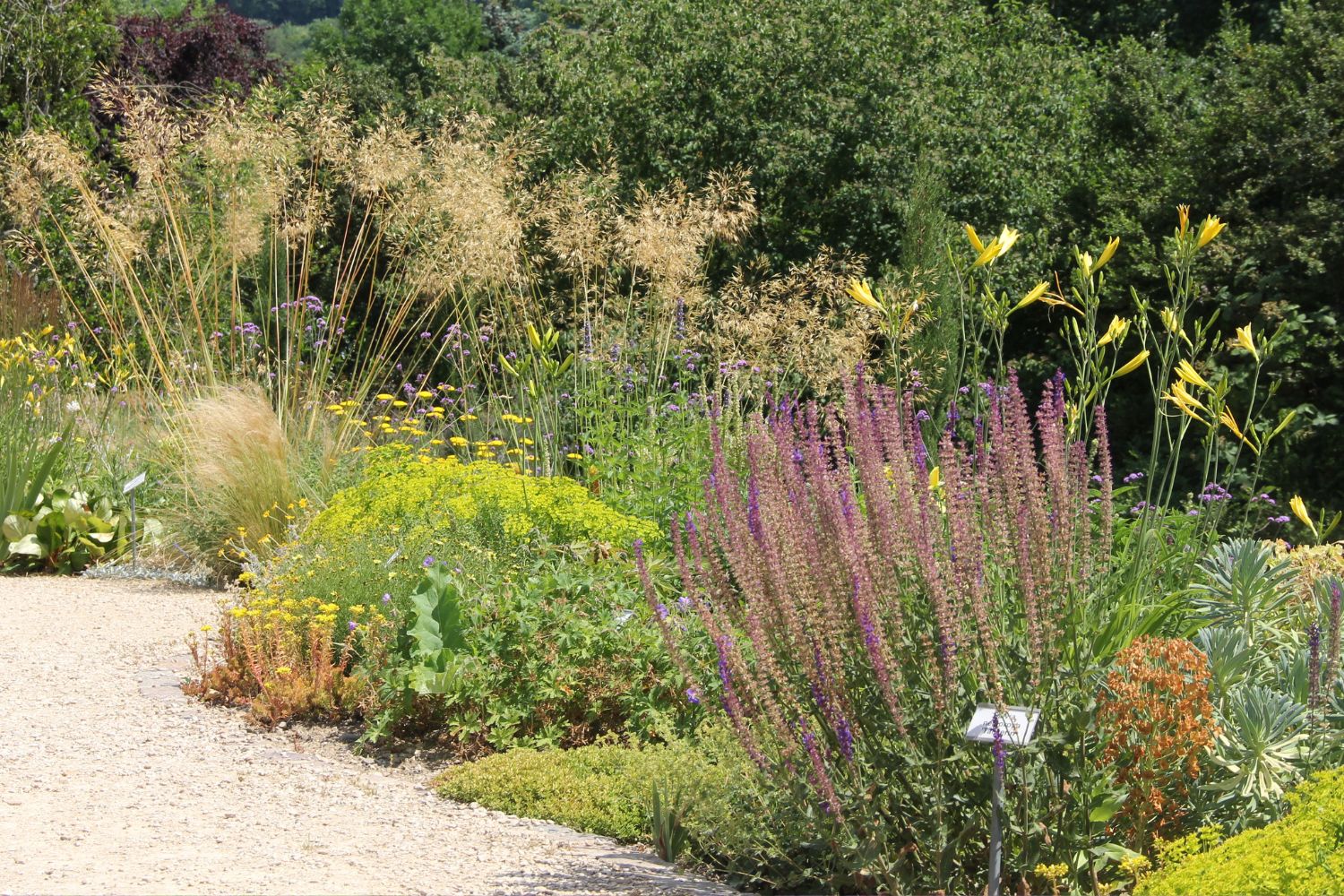 Naturnahes Staudenbeet